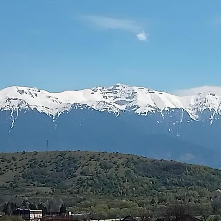 ZărneştiLe Nid D'Adamアパートメント エクステリア 写真