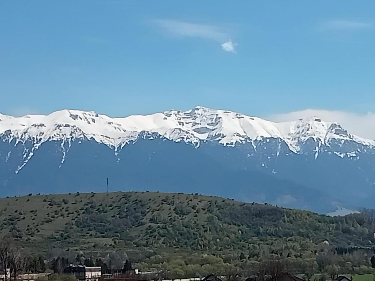 ZărneştiLe Nid D'Adamアパートメント エクステリア 写真